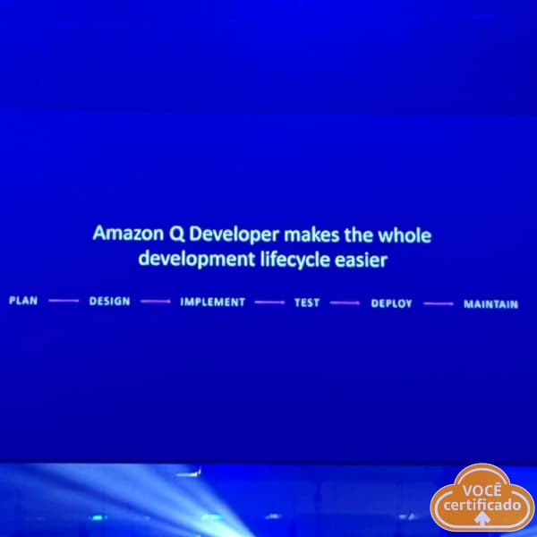 painel AmazonQ Developer