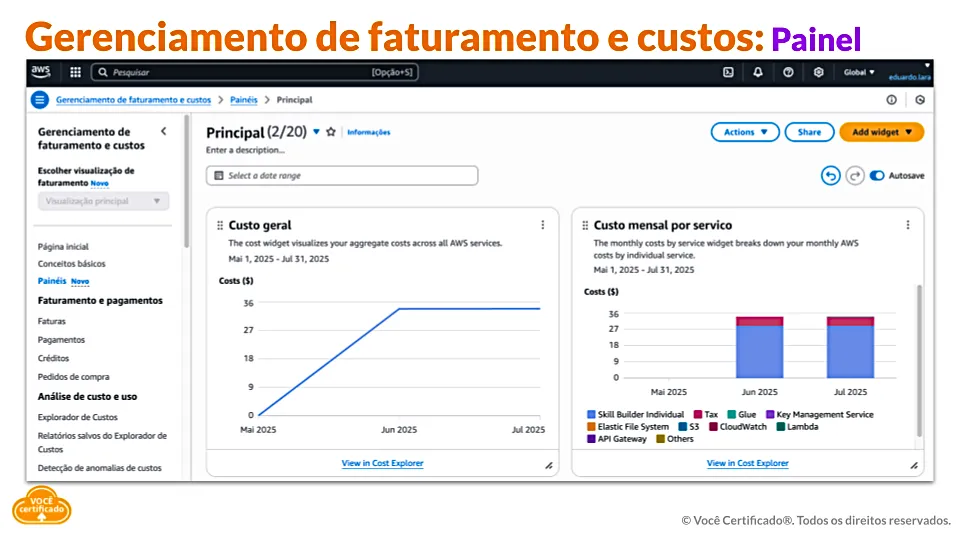Gerenciamento de Faturamento e Custos e o Painel Customizado