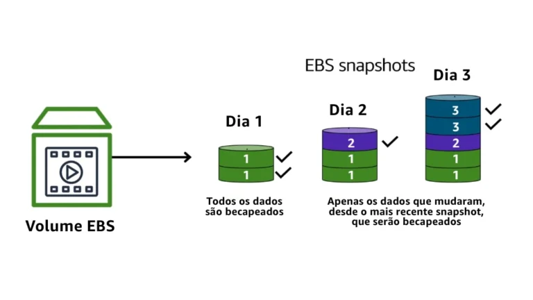 Os snapshots dos volumes EBS são incrementais